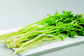 野芹菜
