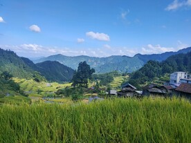 元宝山梯田