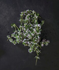 小花 
