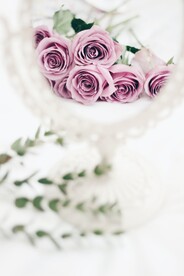 玫瑰花