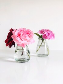 玫瑰花