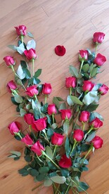 玫瑰花