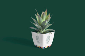 绿植样机