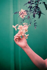 花朵