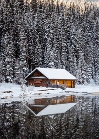 林中雪景
