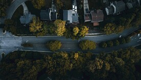 林中公路