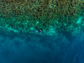 海
