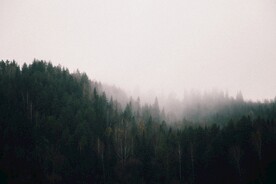云雾山林 