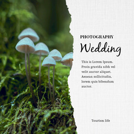 撕纸效果画册海报PSD模板