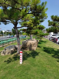 公园风景 