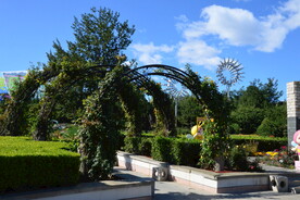 公园风景