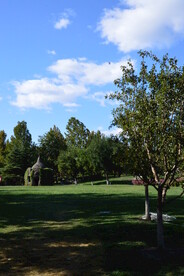 公园风景