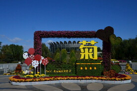 公园风景