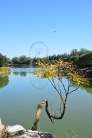 公园风景 