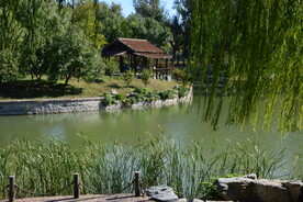 公园风景 