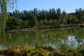 公园风景