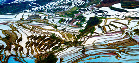 元阳哈尼梯田风光