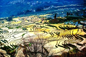 元阳哈尼梯田风光