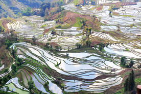 元阳哈尼梯田风光