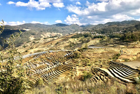 元阳哈尼梯田风光