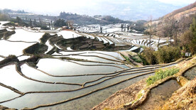 元阳哈尼梯田风光