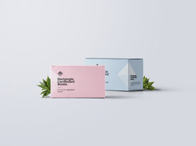 包装纸盒展示样机
