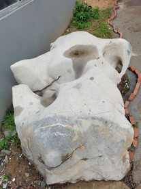 这里全是石头