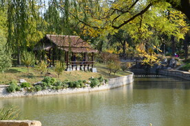  公园风景  