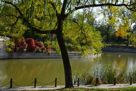  公园风景