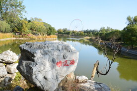  公园风景