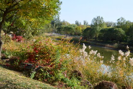 公园风景