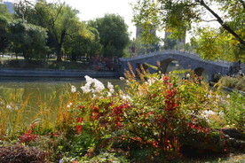  公园风景 