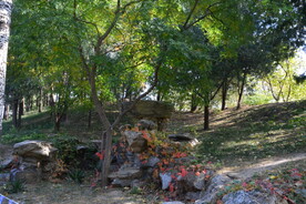  公园风景
