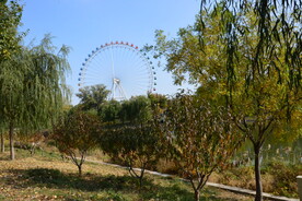  公园风景