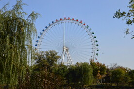  公园风景