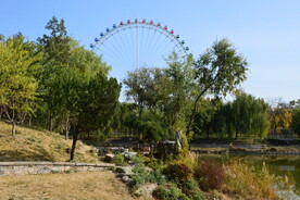  公园风景