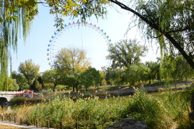  公园风景 