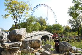  公园风景