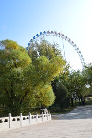  公园风景 