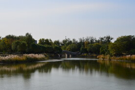 公园风景