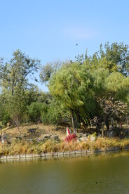 公园风景 