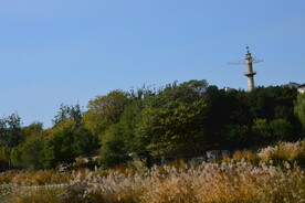 公园风景  