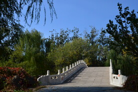 公园风景  