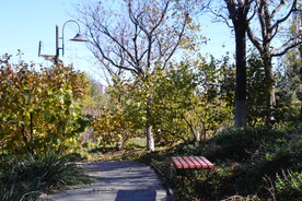 公园风景 