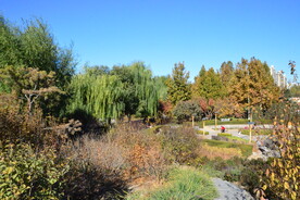 公园风景 