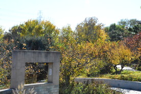 公园风景 
