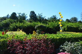 公园风景 