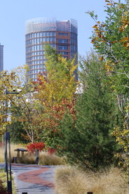 莲花池风景 