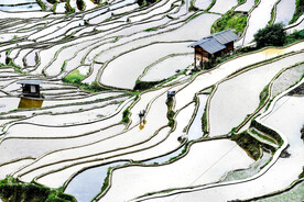 从江加榜梯田风光