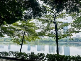 湖边倒影风景